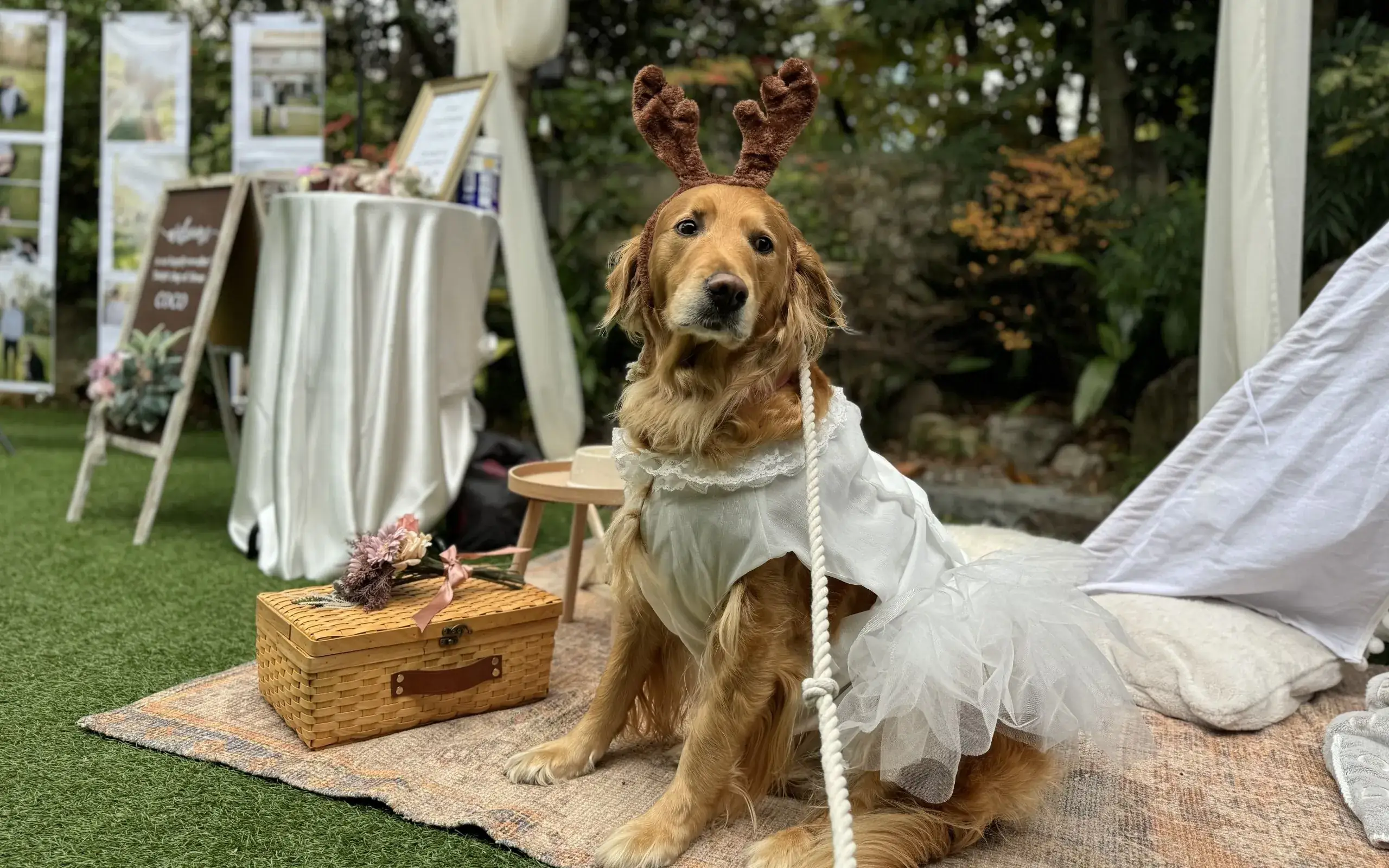 ガーデン挙式に参列した愛犬とご家族
