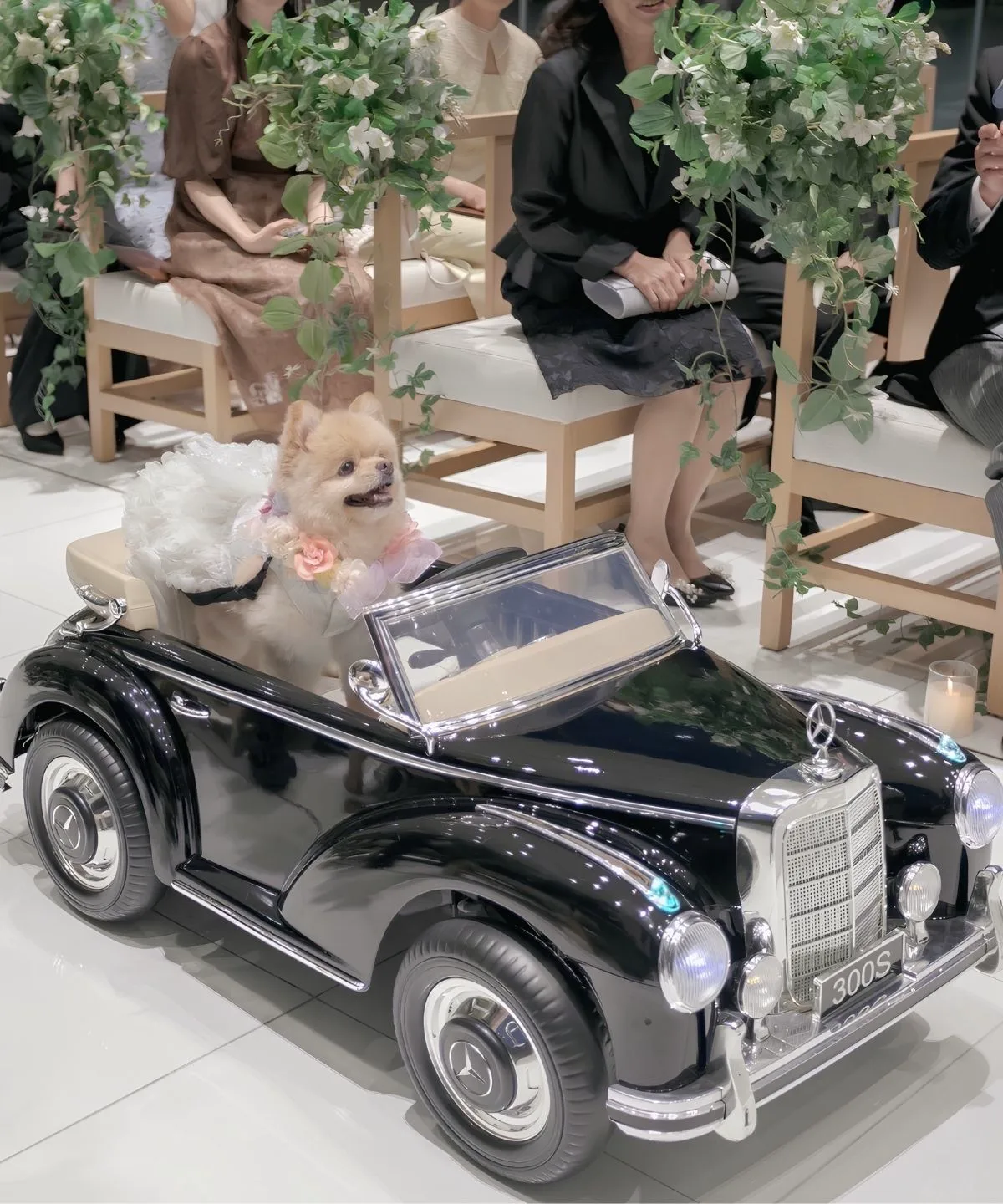 リングカー入場